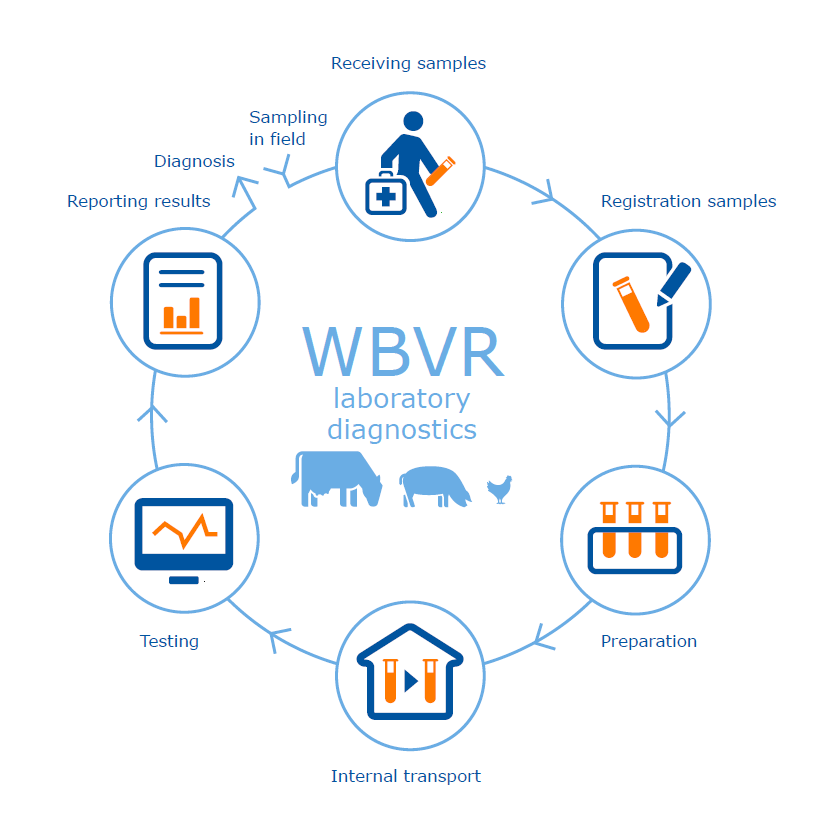 De Rol Van Wageningen Bioveterinary Research In Het Onderzoek Rond